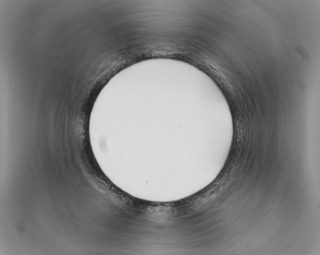 X0000111000362200907171818