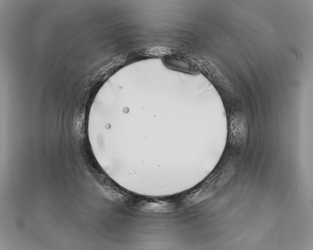 X0000111000364200907171818