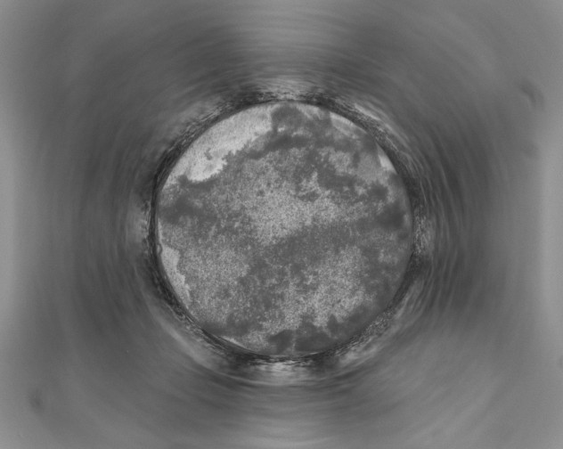 X0000111000365200907171818