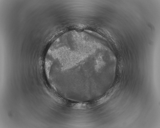 X0000111000366200907171818