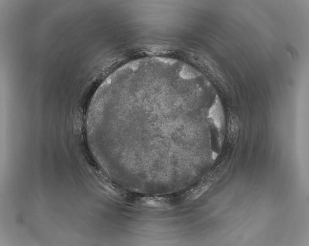 X0000111000367200907171818