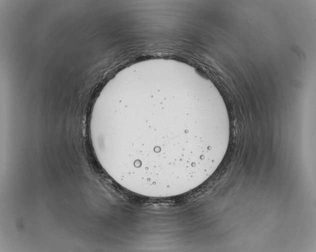 X0000111000368200907171818