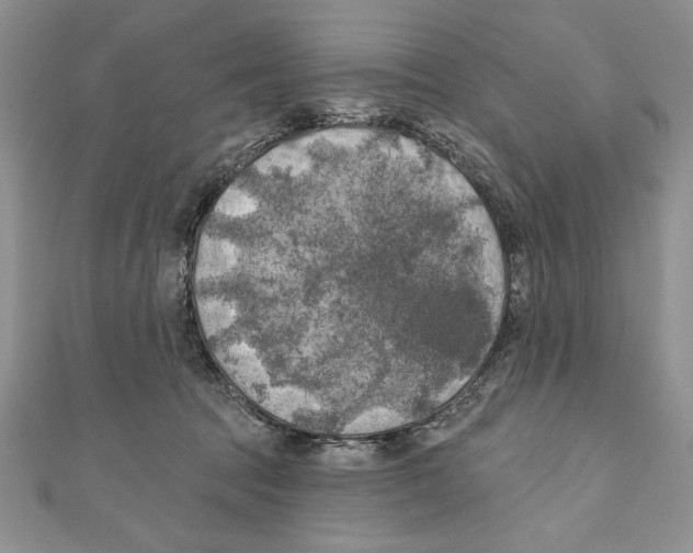 X0000111000369200907171818