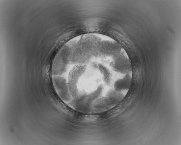 X0000111000373200907171818