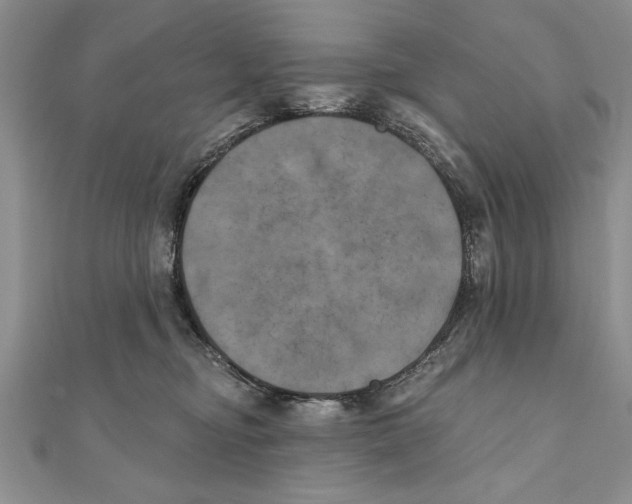 X0000111000374200907171818