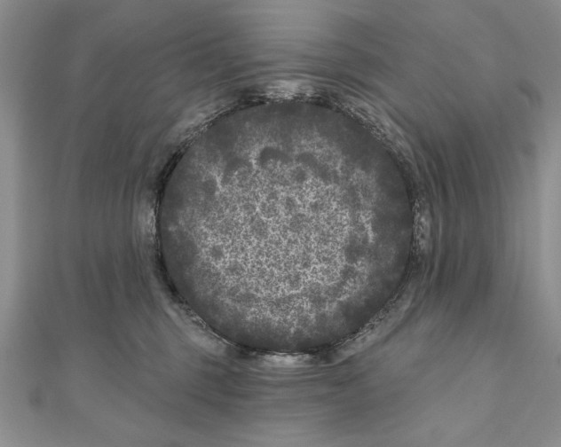 X0000111000375200907171818