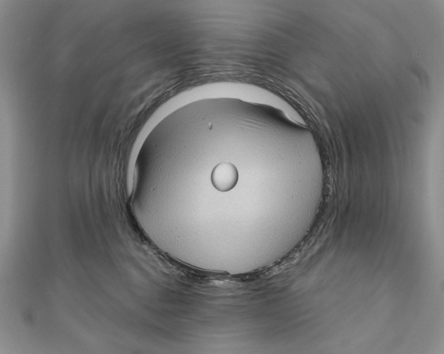 X0000111000376200907171818