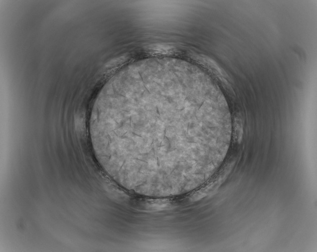 X0000111000377200907171818