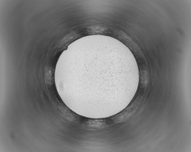 X0000111000378200907171818