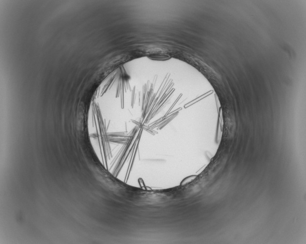 X0000111000379200907171818