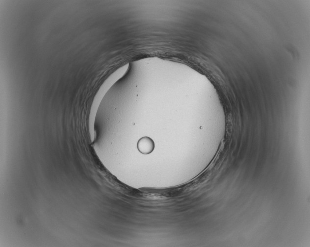 X0000111000380200907171819