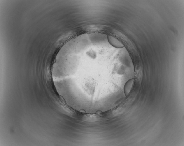 X0000111000381200907171819