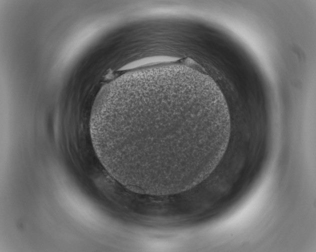 X0000111000382200907171819