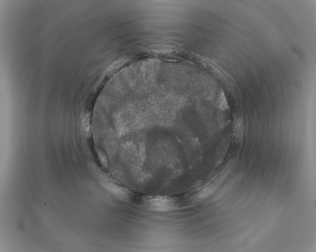 X0000111000383200907171819