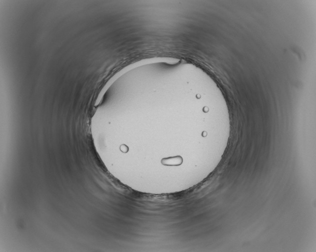 X0000111000384200907171819