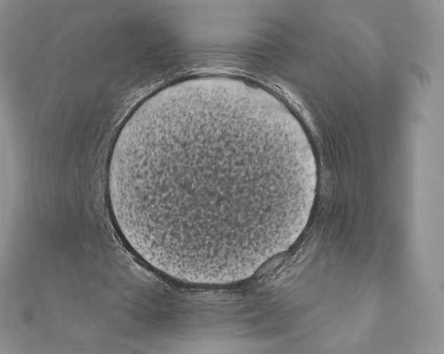 X0000111000385200907171818