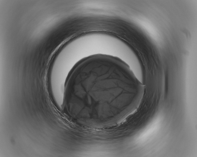 X0000111000387200907171818