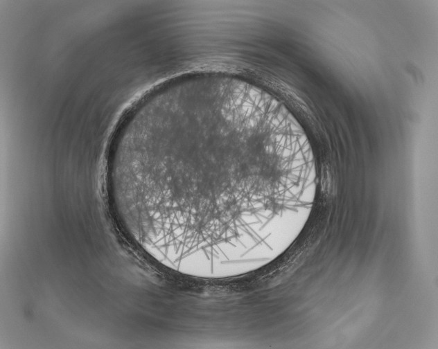 X0000111000388200907171818