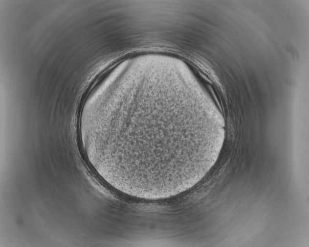 X0000111000389200907171818