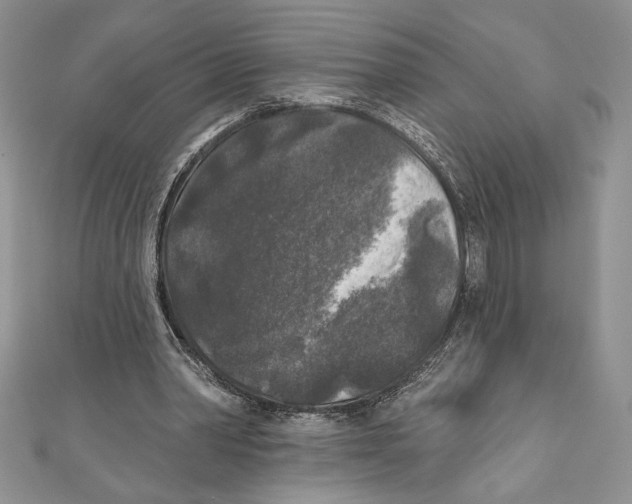 X0000111000390200907171818