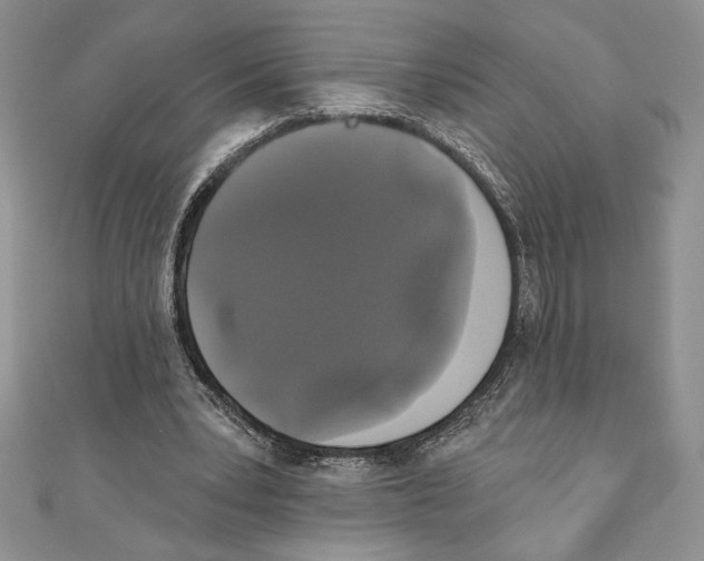 X0000111000391200907171818