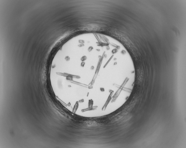 X0000111000392200907171818