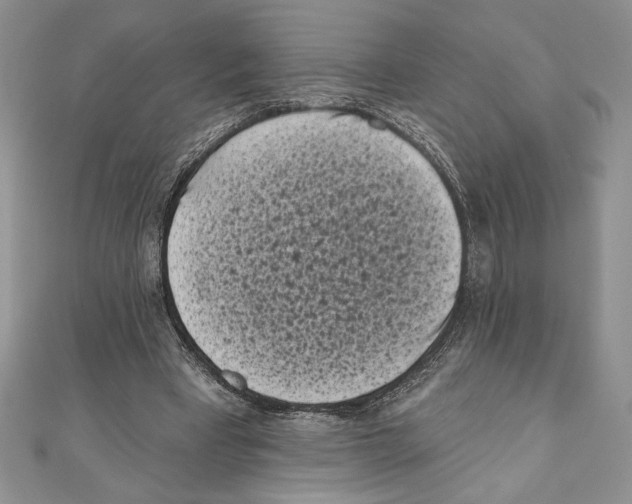 X0000111000393200907171818