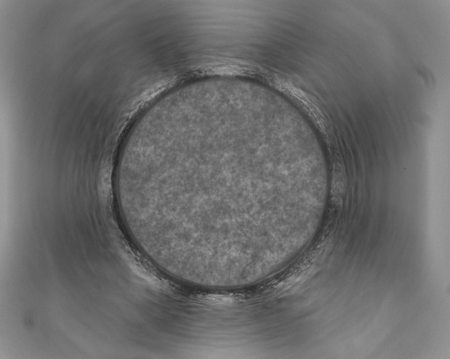 X0000111000394200907171818