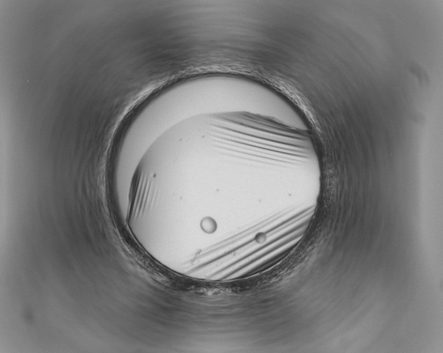 X0000111000395200907171818