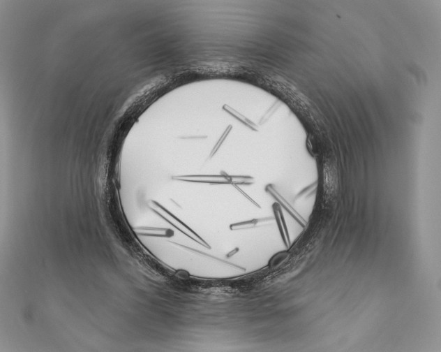 X0000111000396200907171818