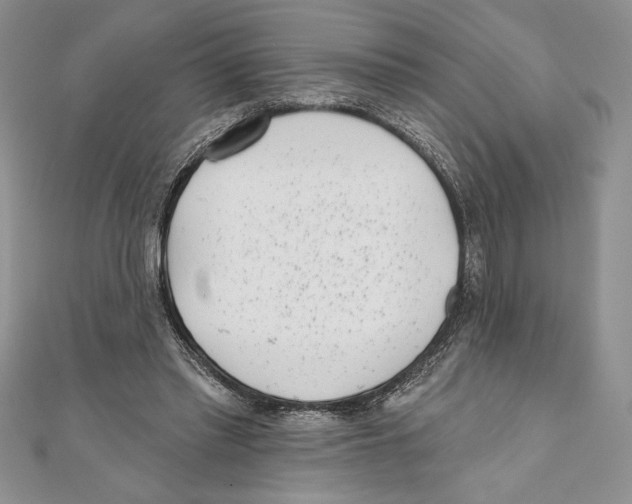 X0000111000397200907171818