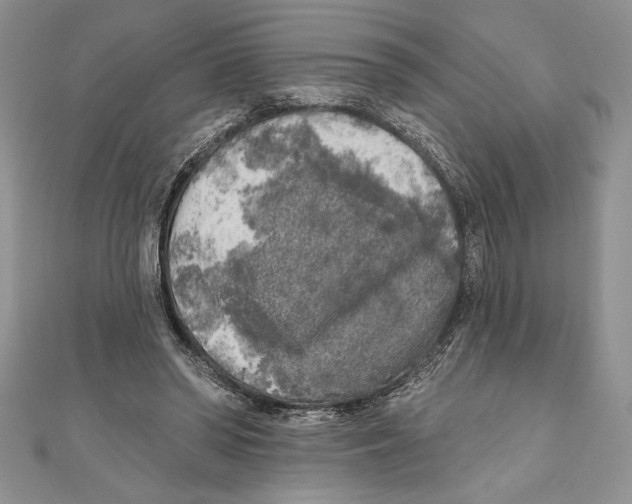 X0000111000398200907171818