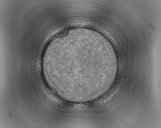 X0000111000399200907171818