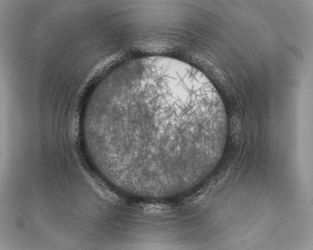 X0000111000400200907171818