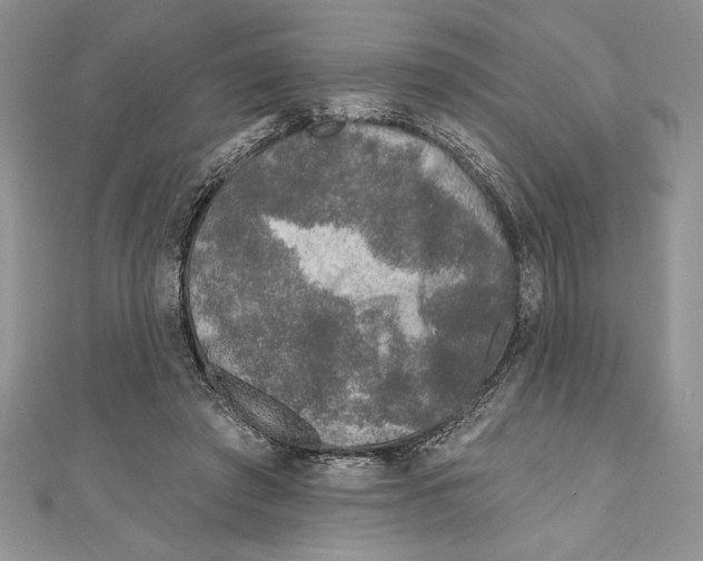 X0000111000401200907171818