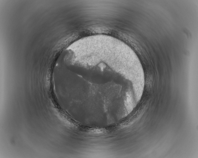 X0000111000402200907171818