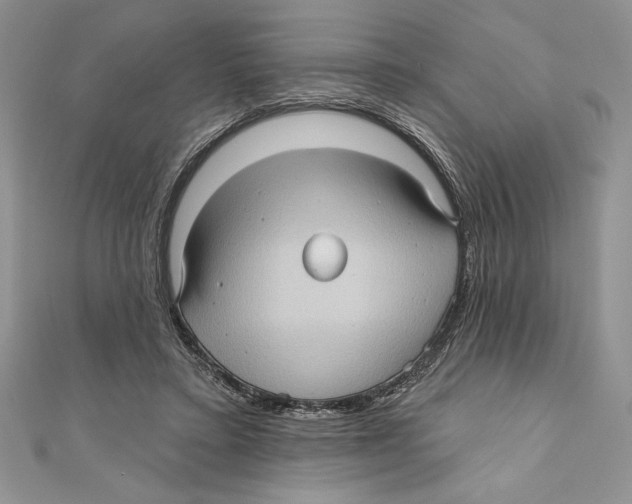 X0000111000403200907171818