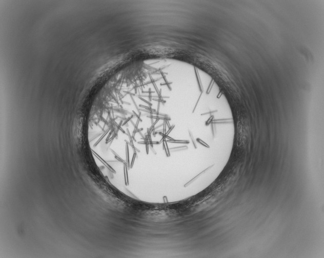 X0000111000404200907171818