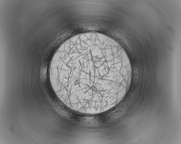 X0000111000406200907171817