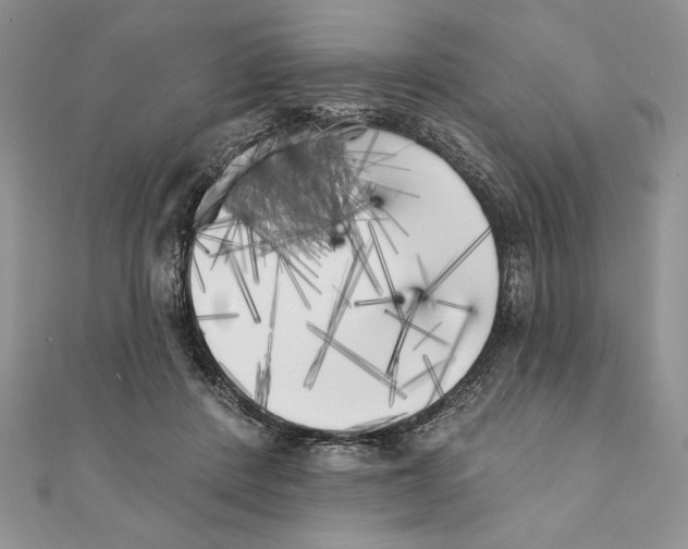 X0000111000408200907171817