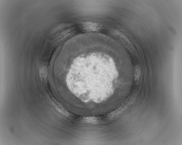 X0000111000409200907171817