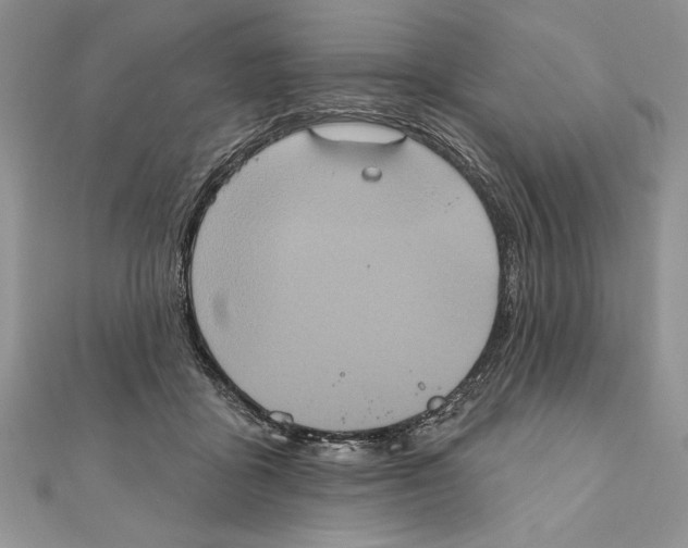 X0000111000411200907171817