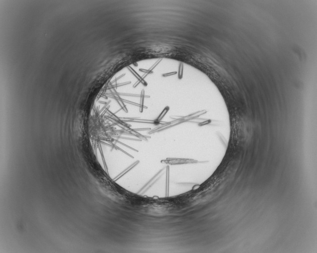 X0000111000412200907171817