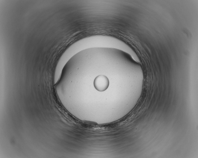 X0000111000413200907171817