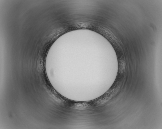 X0000111000414200907171817