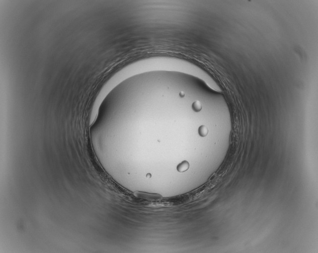 X0000111000415200907171817