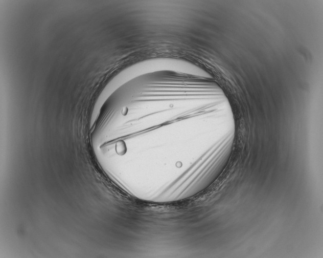 X0000111000417200907171817