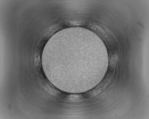 X0000111000418200907171817