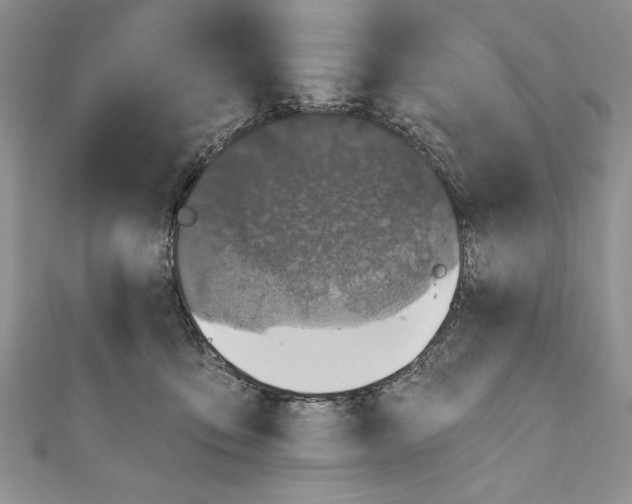 X0000111000419200907171817