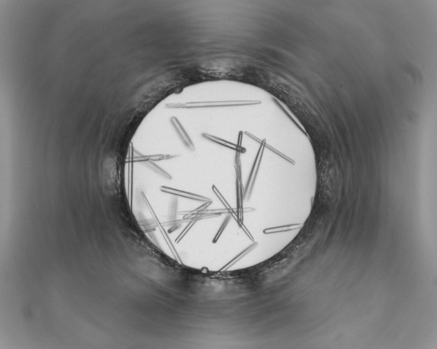 X0000111000420200907171817